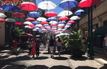Mauritius full day : Private north tour 