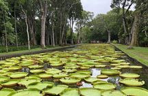 Mauritius full day : Private north tour 