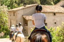 Horseback Riding in Montserrat Mountain Natural Park, Barcelona - 1 to 2 hrs