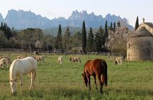 Horseback Riding in Montserrat Mountain Natural Park, Barcelona - 1 to 2 hrs