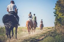 1.5 hr Horseback Riding in Open Door, Luján, Buenos Aires