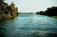 Kayaking on Sal Backwaters - Goa