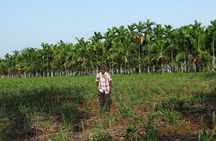 Full-Day Goa Shore Excursion with Lunch at a Spice Plantation