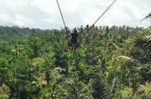 Ubud Village, Tegalalang Rice Terrace Swing, Tirta Empul Temple and Waterfafall