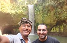 Ubud Village, Tegalalang Rice Terrace Swing, Tirta Empul Temple and Waterfafall