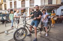 Madrid Sightseeing Electric Bike tour