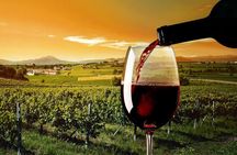Exclusive Wine Tour: Visit to a Local Sardinian Winery