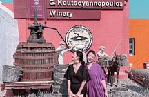 2-Day Santorini Bus Tour with Volcanic Cruise