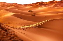  11 Days Private Tour Visit to Morocco with Transfer Included 