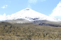 Exploring Baños and Cotopaxi Volcano in 2 Days / 1 Night