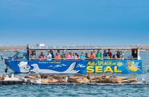 San Diego Seal Tour