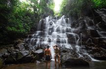 Private Waterfall Tour Feature Tukad Cepung, Tibumana and Kanto Lampo 