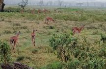 Hell's Gate National Park Private Bike Tour from Nairobi
