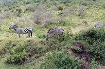 Hell's Gate National Park Private Bike Tour from Nairobi