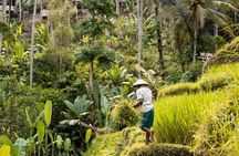 Private Customized Trip to Ubud 
