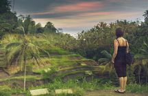 Private Customized Trip to Ubud 