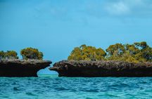 Full Day Safari Blue Zanzibar