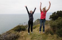 Kapiti Island Classic Guided Day Tour