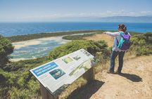 Kapiti Island Classic Guided Day Tour