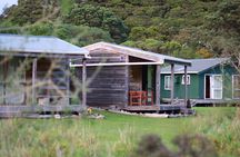 Overnight Experience Tour on Kapiti Island