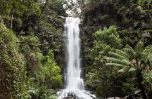 Private Great Ocean Road - The Ultimate Aussie Adventure