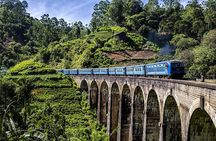 Customized 11-Day Flexible Sri Lanka Tour with Private Car