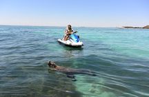 Perth Jet Ski Tour