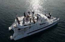 UTOPIA Long Mini Cruise