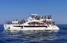 UTOPIA Long Mini Cruise