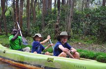 3-Day Private Tour to Andasibe National Park 