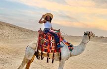 Full-Day Tour at Giza Pyramids & Sphinx & Memphis & Saqqara & Dahshur 