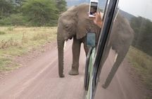 2 Days Tarangire and Ngorongoro Crater Tour