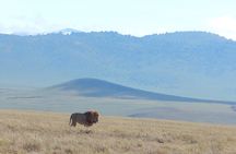 2 Days Tarangire and Ngorongoro Crater Tour