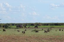 2 Days Tarangire and Ngorongoro Crater Tour