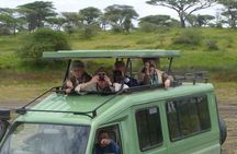 4 Days Ngorongoro & Serengeti Safari from Arusha