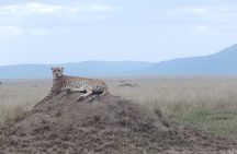 5 Days Safari to Serengeti, Ngorongoro, Tarangire from Arusha