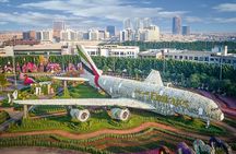 Full-Day Private Tour in Dubai