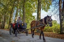 Private Carriage Ride in Vrelo Bosne Nature Park