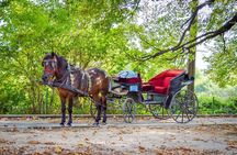 Private Carriage Ride in Vrelo Bosne Nature Park