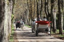 Private Carriage Ride in Vrelo Bosne Nature Park