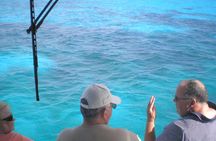 Key Largo Coral Reef Glass Bottom Boat Adventure 