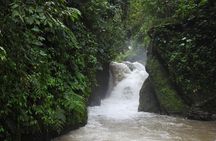 Full-Day Mindo Cloud Forest Tour Birdwatching Waterfalls and Hike