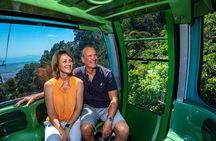Sightseeing Kuranda Self-Driving Tour