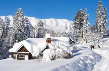 3 Day Srinagar Gulmarg Tour