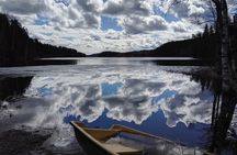 Half-Day Nature Adventure to Nuuksio National Park from Helsinki
