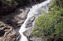 Taxi service & Mahe Island tours