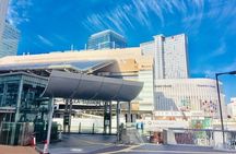 Half-Day Private Guided Tour to Osaka Kita 