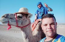 Agafay camel ride 