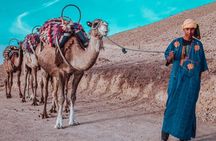 Agafay camel ride 
