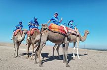 Agafay camel ride 